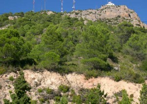 Observatorio de Incendios Forestales